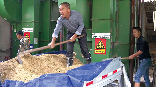 微網格長出手，破解“曬糧難”助力糧食加工